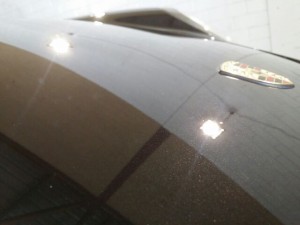 Porsche GT2 After Paint Correction by Des Wong