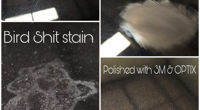 Bird shit stains